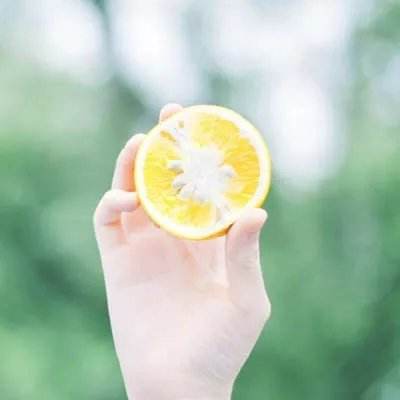 龙魂大陆游戏下载